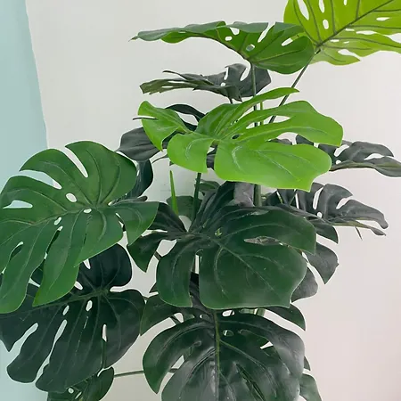 アパート Lakeside オルタ・サン・ジューリオ